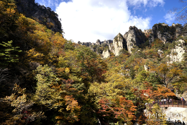 <강원도 양양군<strong>, "계곡과 폭포가 이어지고, 기암괴석 사이로,  설악의 가을이 머무는곳  남설악 오색 주전골"</strong>>  김광부 기자