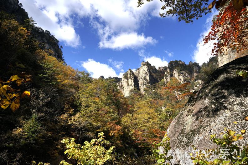 <강원도 양양군<strong>, "계곡과 폭포가 이어지고, 기암괴석 사이로,  설악의 가을이 머무는곳  남설악 오색 주전골"</strong>>  김광부 기자