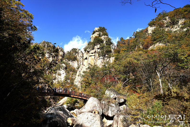 <강원도 양양군<strong>, "계곡과 폭포가 이어지고, 기암괴석 사이로,  설악의 가을이 머무는곳  남설악 오색 주전골"</strong>>  김광부 기자