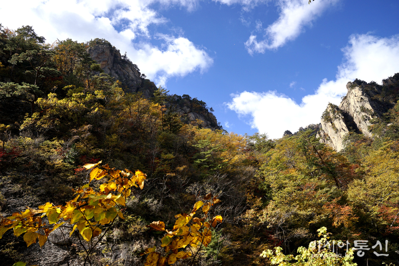 <강원도 양양군<strong>, "계곡과 폭포가 이어지고, 기암괴석 사이로,  설악의 가을이 머무는곳  남설악 오색 주전골"</strong>>  김광부 기자