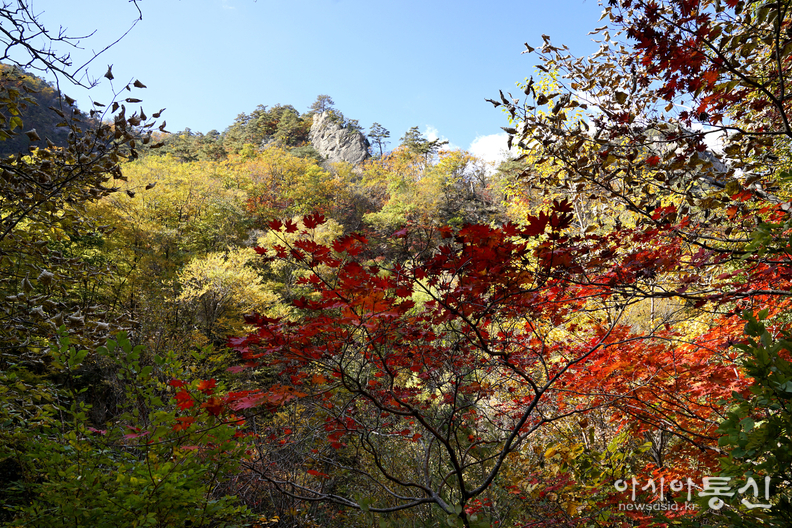 <강원도 양양군<strong>, "계곡과 폭포가 이어지고, 기암괴석 사이로,  설악의 가을이 머무는곳  남설악 오색 주전골"</strong>>  김광부 기자