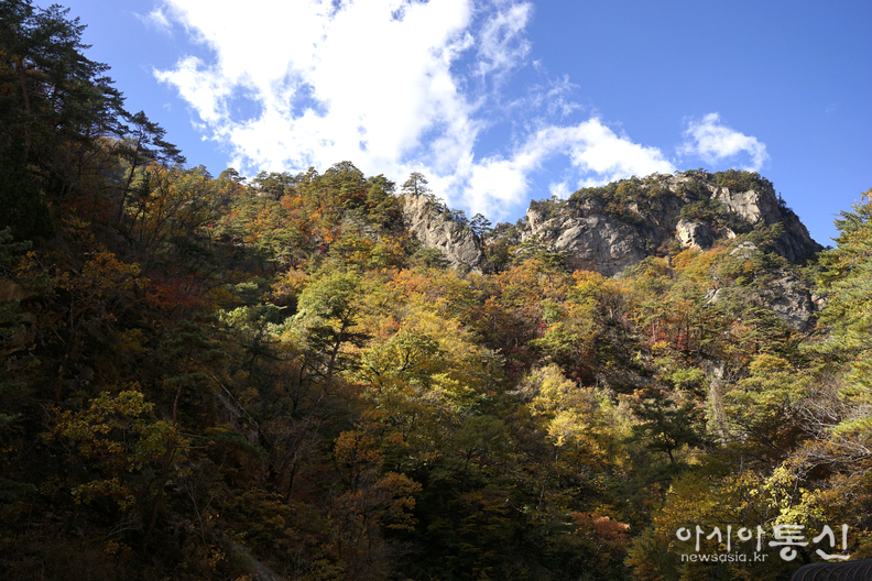 <강원도 양양군<strong>, "계곡과 폭포가 이어지고, 기암괴석 사이로,  설악의 가을이 머무는곳  남설악 오색 주전골"</strong>>  김광부 기자