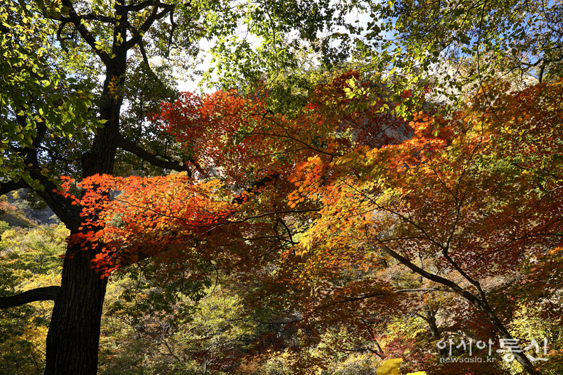 <강원도 양양군<strong>, "계곡과 폭포가 이어지고, 기암괴석 사이로,  설악의 가을이 머무는곳  남설악 오색 주전골"</strong>>  김광부 기자