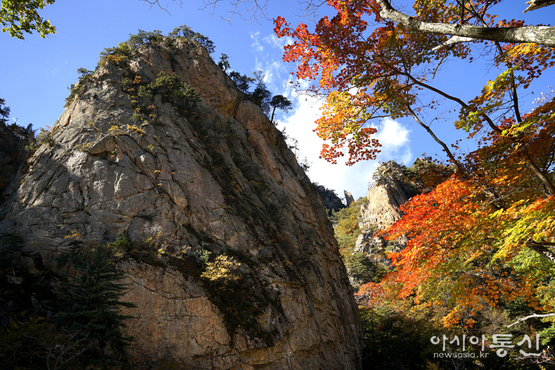 <강원도 양양군<strong>, "계곡과 폭포가 이어지고, 기암괴석 사이로,  설악의 가을이 머무는곳  남설악 오색 주전골"</strong>>  김광부 기자