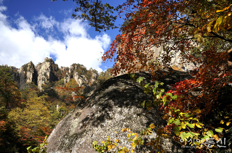 <강원도 양양군<strong>, "계곡과 폭포가 이어지고, 기암괴석 사이로,  설악의 가을이 머무는곳  남설악 오색 주전골"</strong>>  김광부 기자