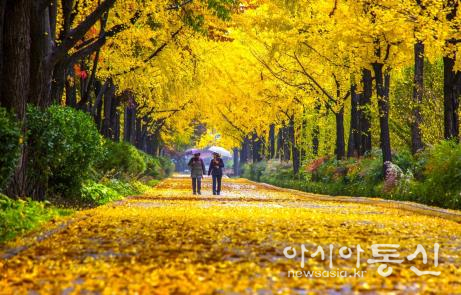 송파구 위례성길