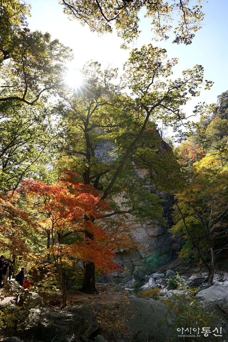 <강원도 양양군,<strong> "가을빛에 곱게 물들어 가는 남설악 오색 주전골(독주암)"</strong>>  김광부 기자
