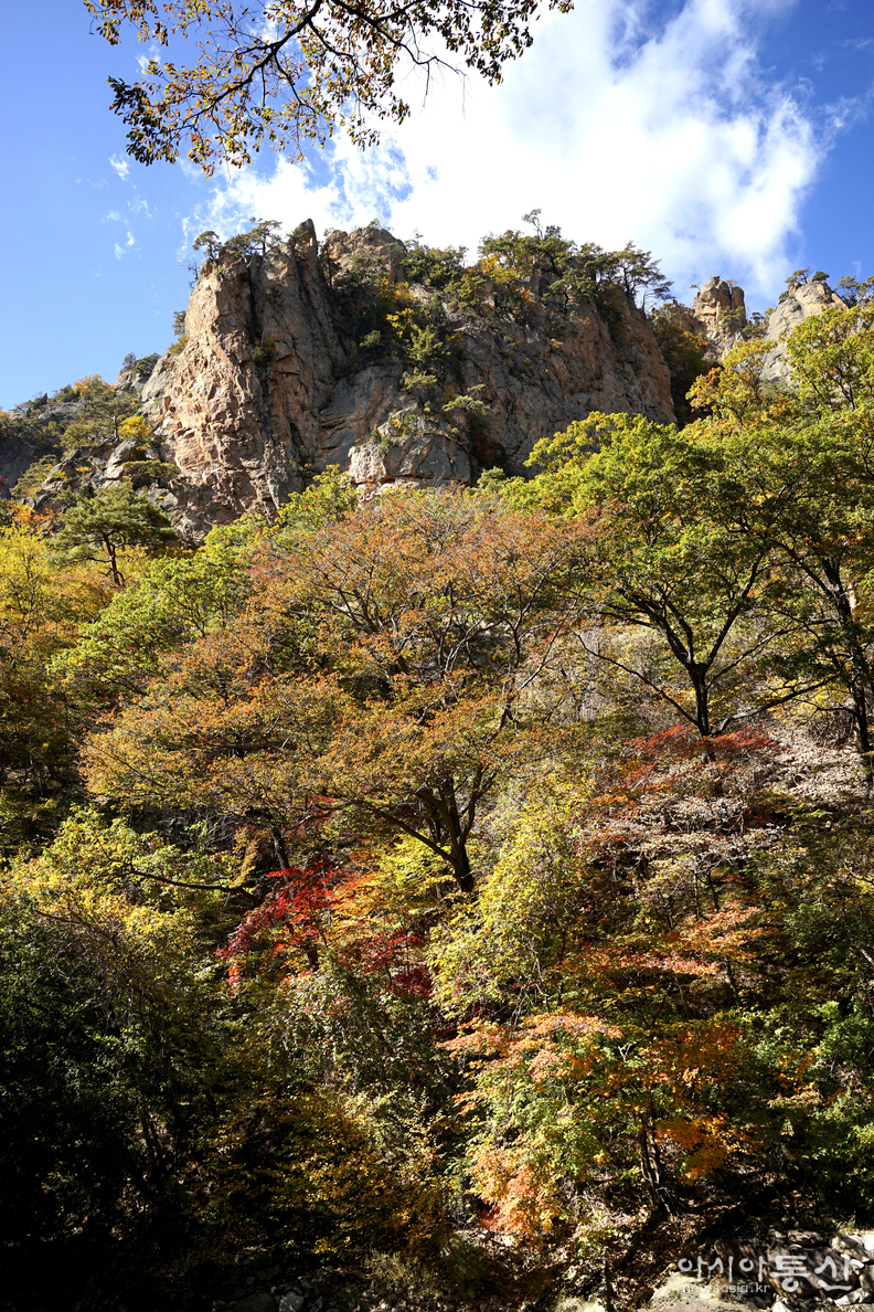 <강원도 양양군,<strong> "가을빛에 곱게 물들어 가는 남설악 오색 주전골(독주암)"</strong>>  김광부 기자