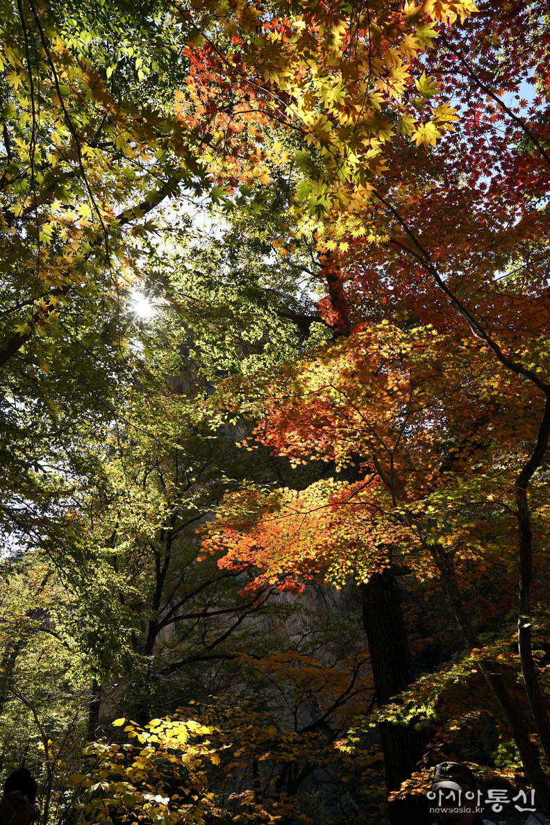 <강원도 양양군,<strong> "가을빛에 곱게 물들어 가는 남설악 오색 주전골(독주암)"</strong>>  김광부 기자