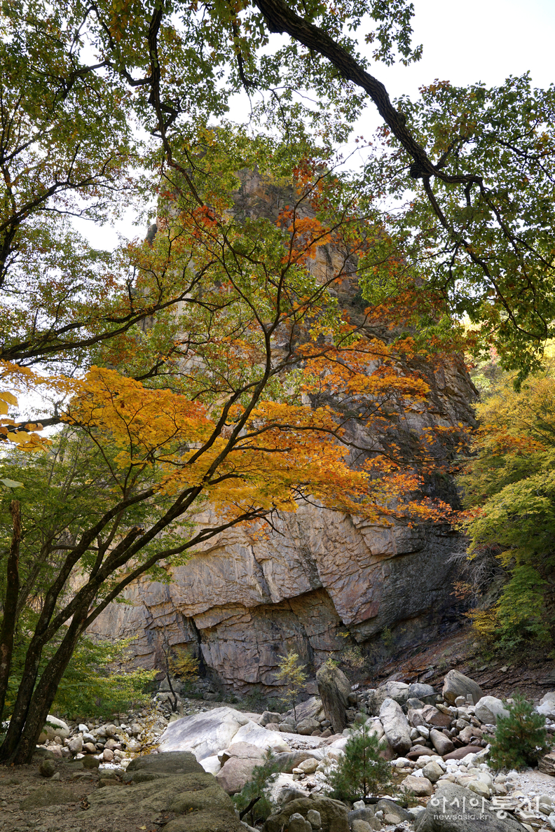 <강원도 양양군,<strong> "가을빛에 곱게 물들어 가는 남설악 오색 주전골(독주암)"</strong>>  김광부 기자