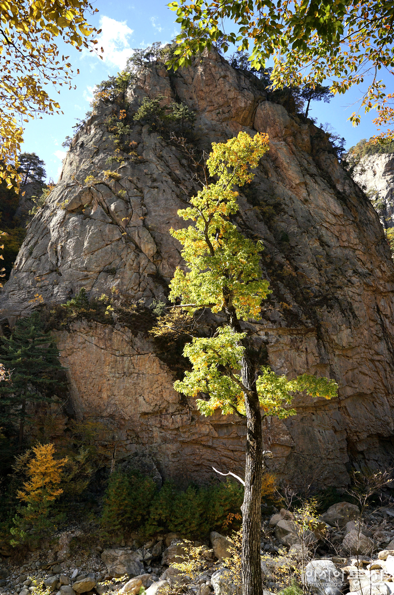 <강원도 양양군,<strong> "가을빛에 곱게 물들어 가는 남설악 오색 주전골(독주암)"</strong>>  김광부 기자