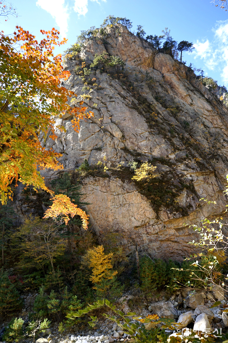 <강원도 양양군,<strong> "가을빛에 곱게 물들어 가는 남설악 오색 주전골(독주암)"</strong>>  김광부 기자