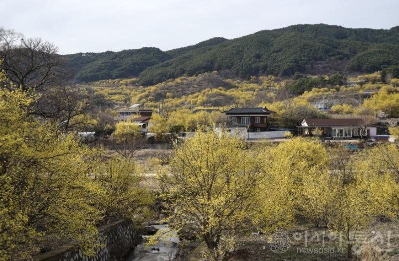 구18.jpg
