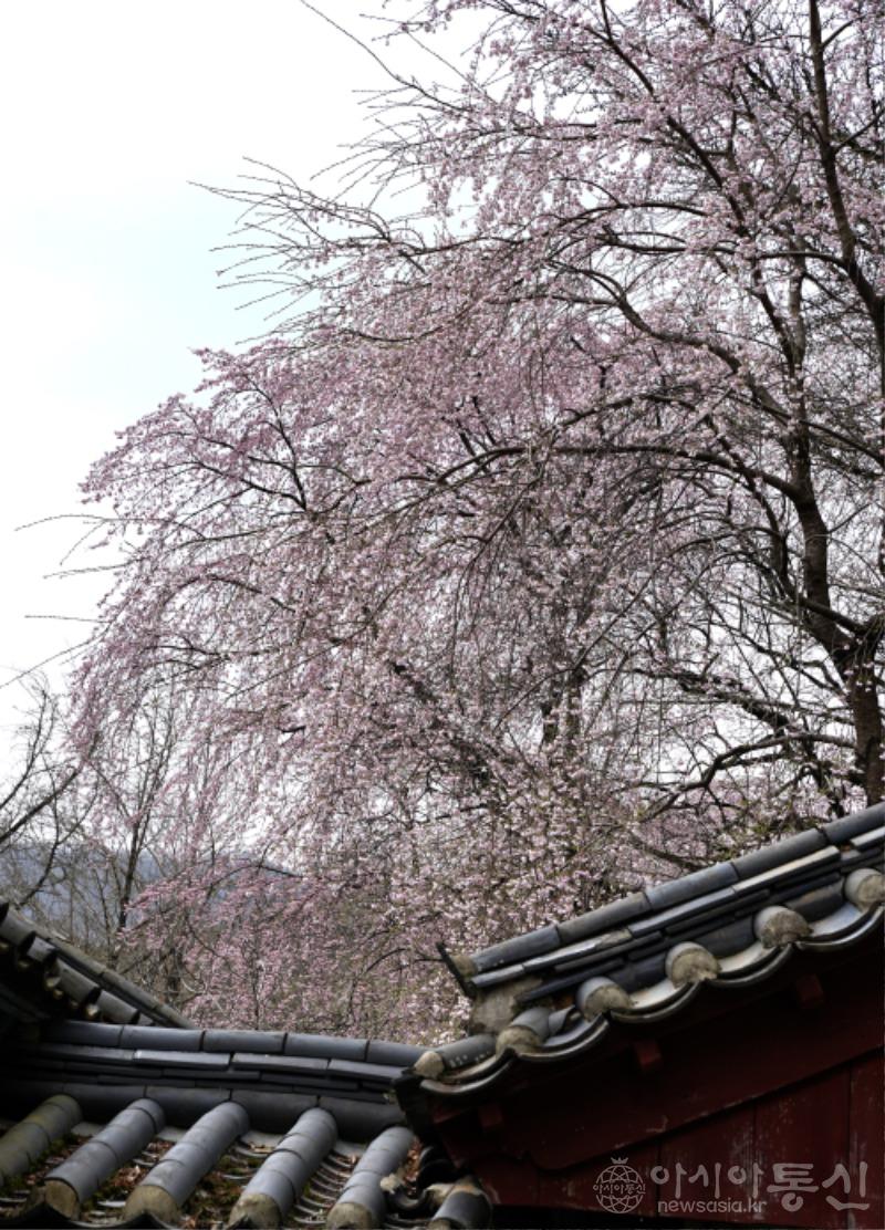 선44.jpg