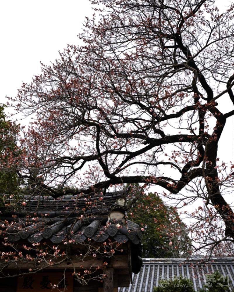 선26.jpg