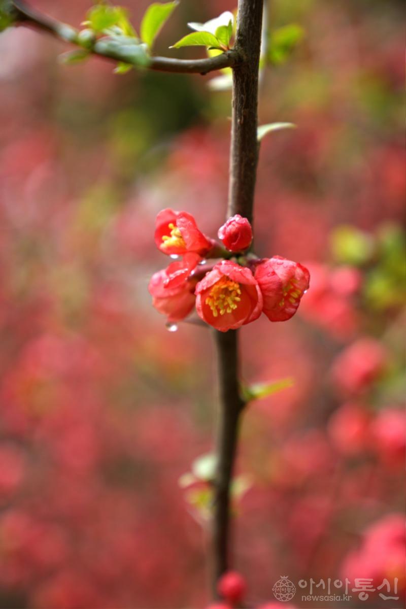 선43.jpg