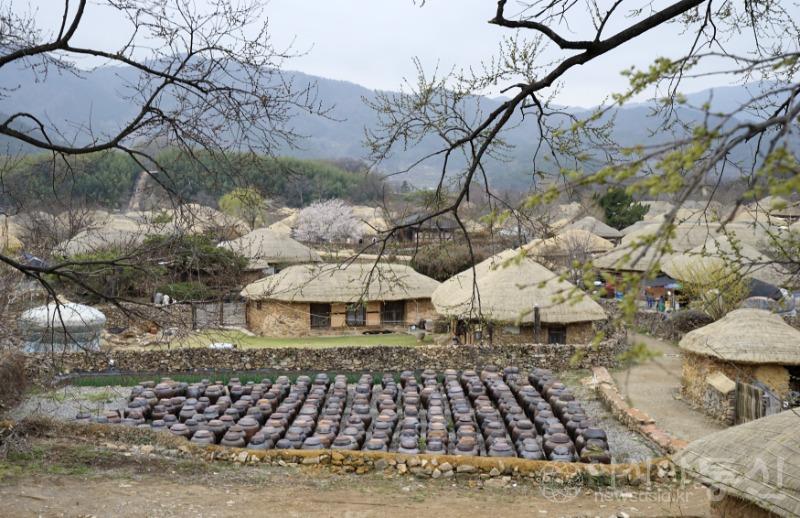 낙3.jpg