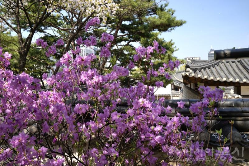 남26.jpg