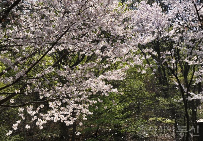 산8.jpg