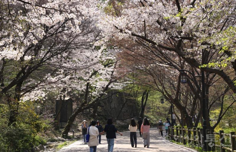 산6.jpg