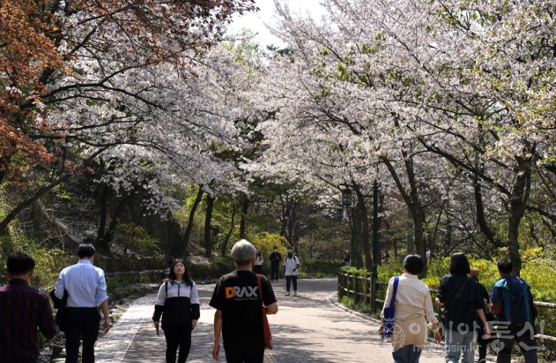 산11.jpg
