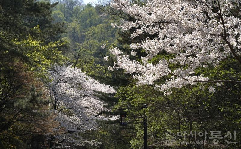 산24.jpg