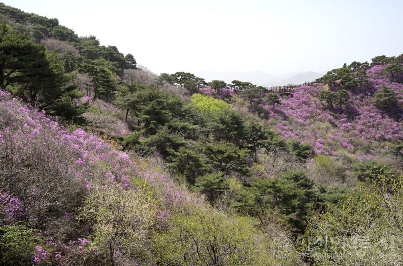 고107(작).jpg