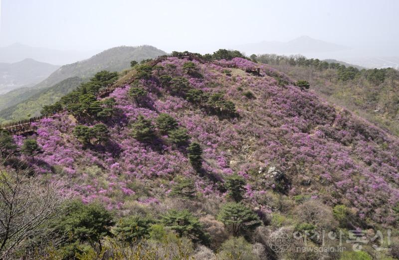 고103(작)1.jpg