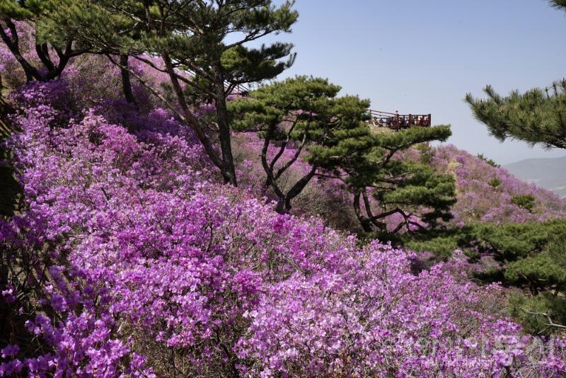 고79(작).jpg