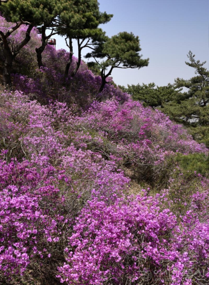 고46(작)1.jpg