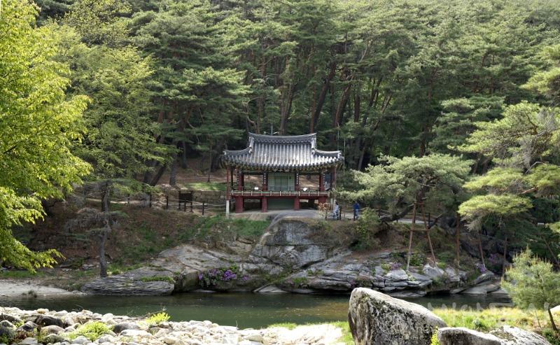 수14.jpg