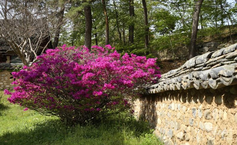 수11.jpg
