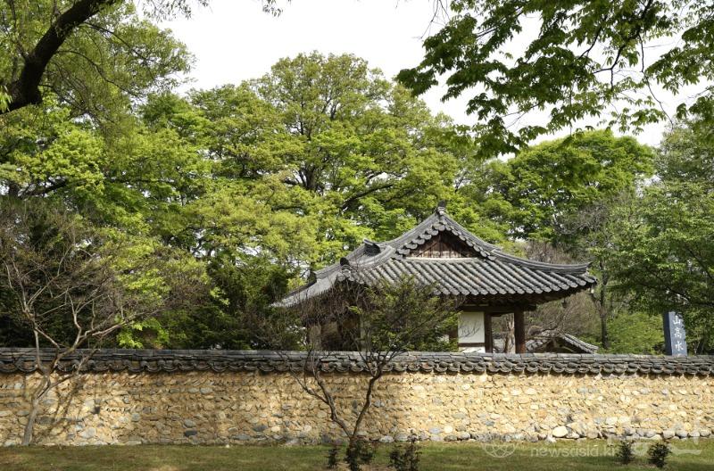 수51.jpg