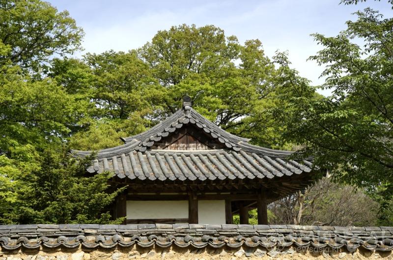수52.jpg