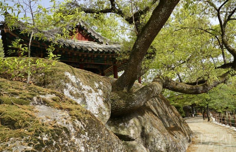수56.jpg