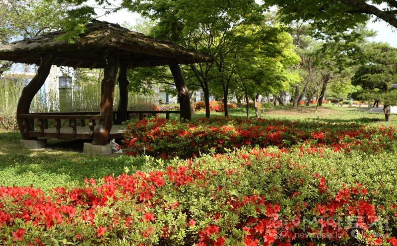 수60.jpg
