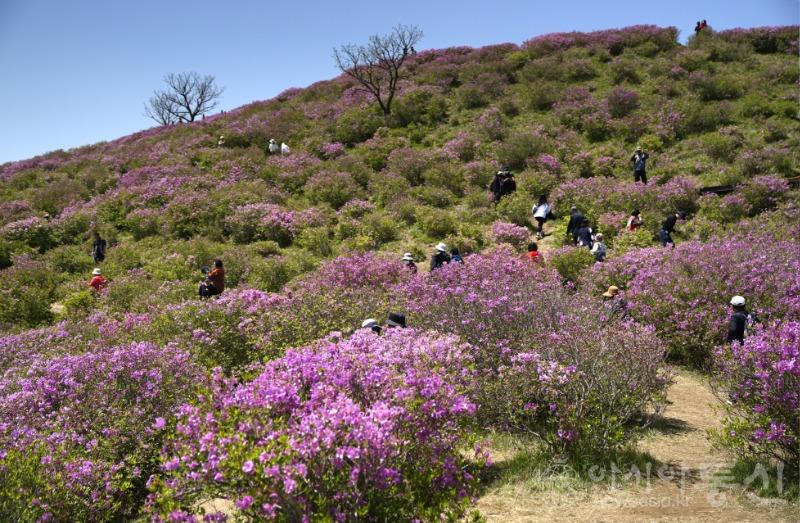 매13.jpg