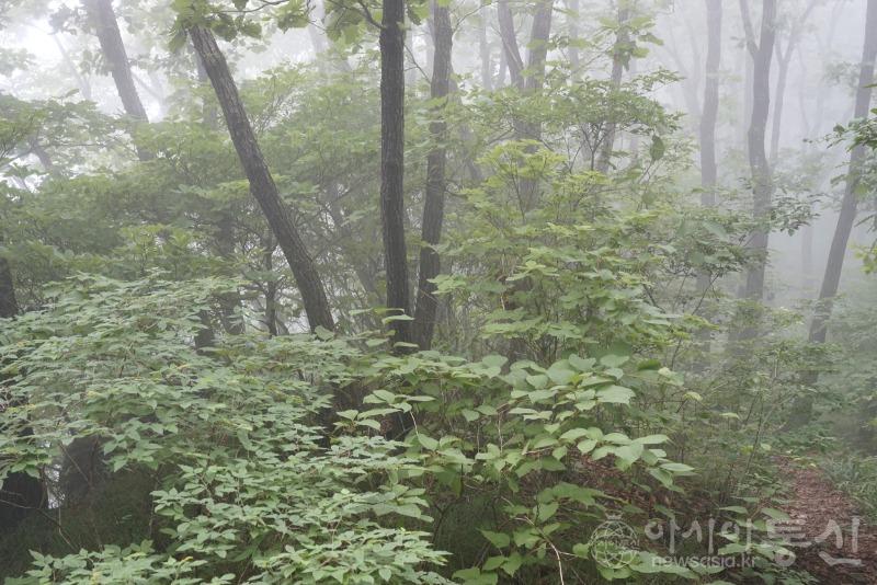 봉16.jpg