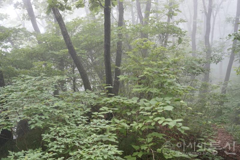 봉23.jpg