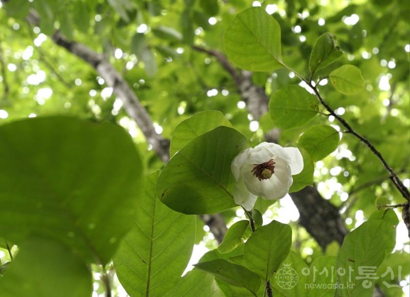 봉8.jpg