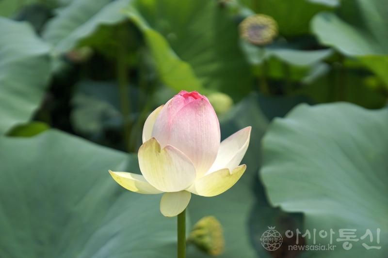 세16.jpg