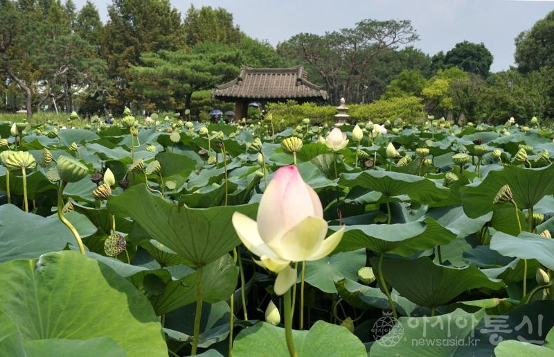 세22.jpg