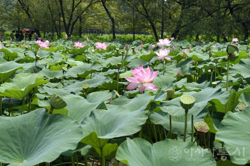 세45(작).jpg