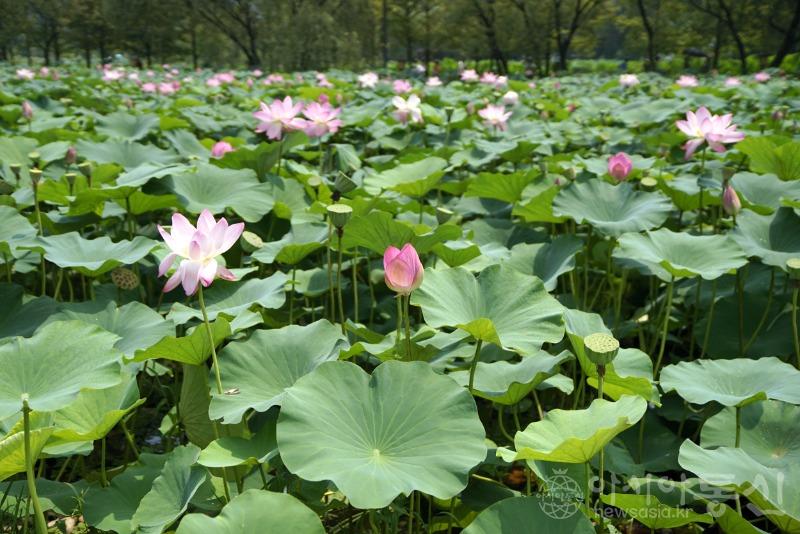 세47.jpg