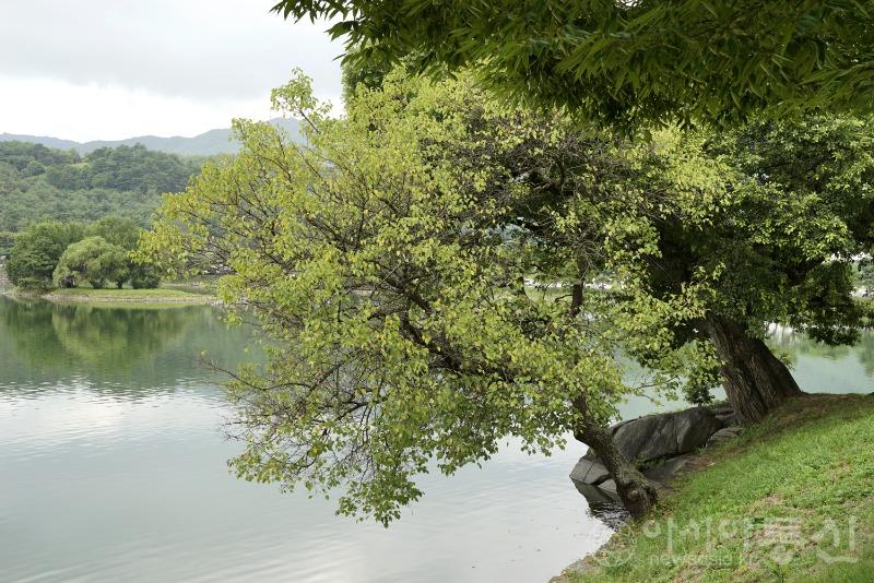 의78(보)12.jpg
