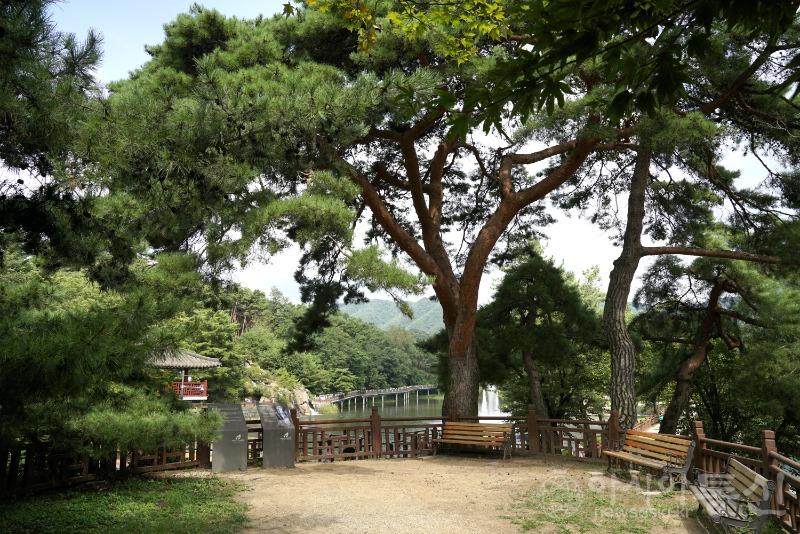 의38(보도).jpg