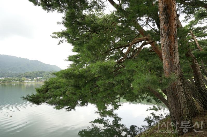 의56.jpg