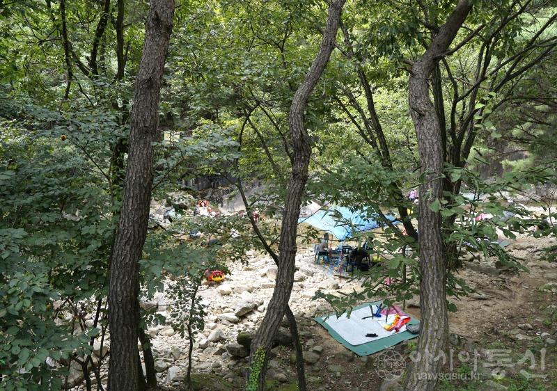정29.jpg