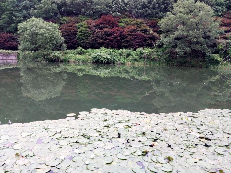 (작).jpg