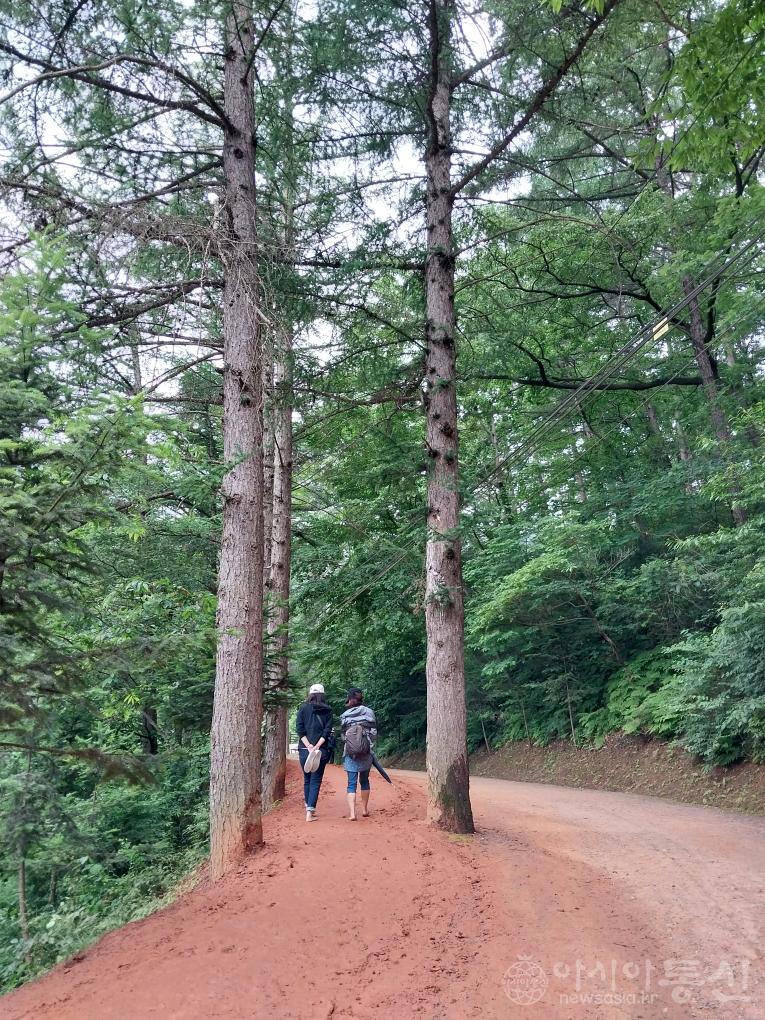 계5(작).jpg